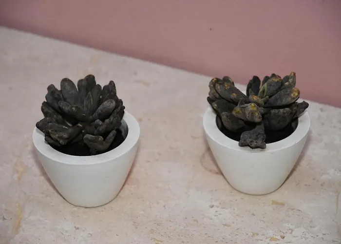 アパート Is Fradis